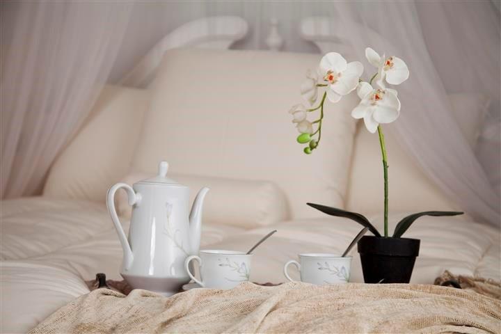 Wool Mattress Topper Highest Quality Guaranteed Cuddleewe Wool Mattress Topper