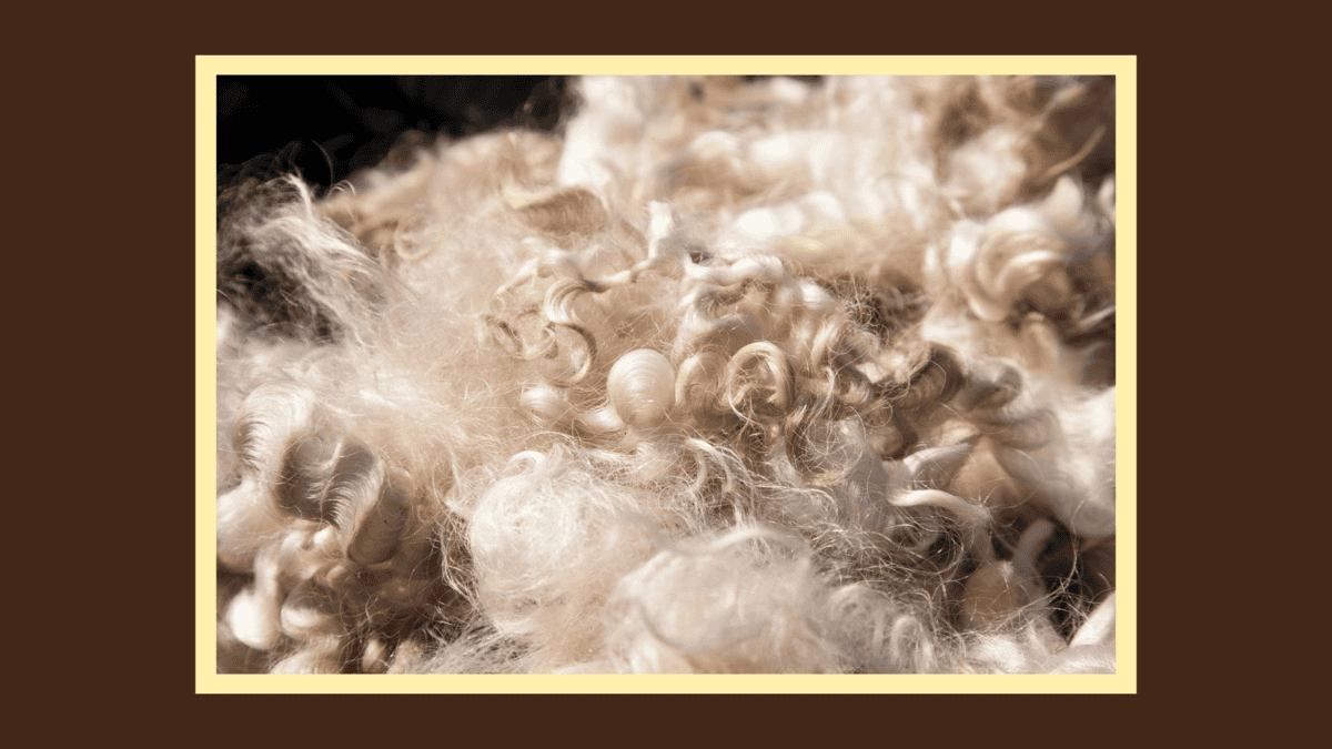 blog banner-mulch (3) Lesser-Known Uses for Wool Part 1 1