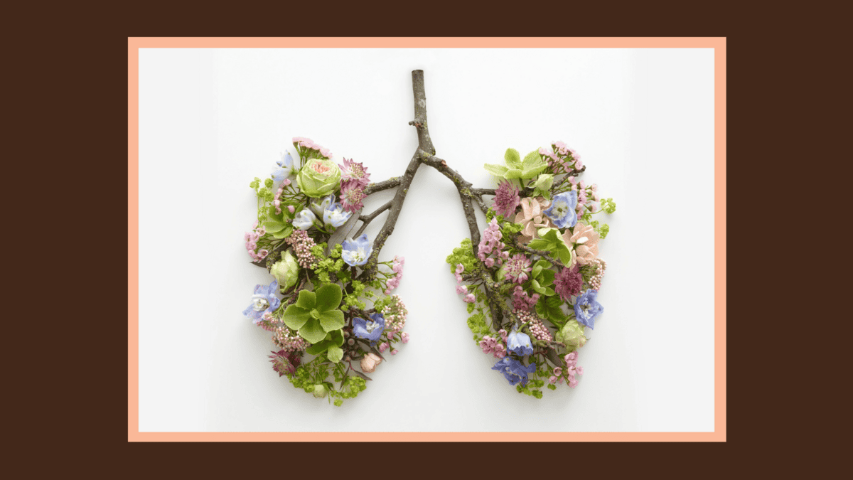 blog banner-mulch All-Natural Bedding makes Breathing Easier 1