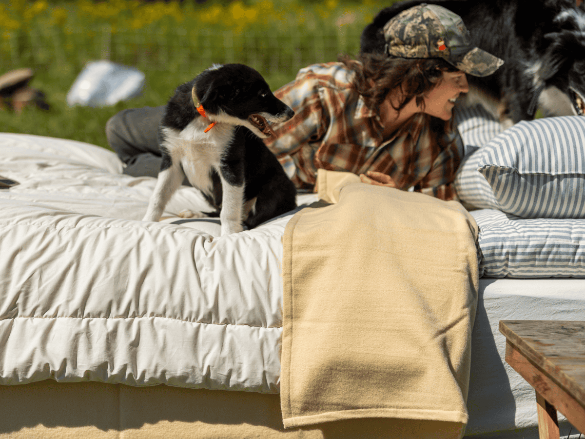 100% Virgin Wool Lightweight Blanket - Image 2