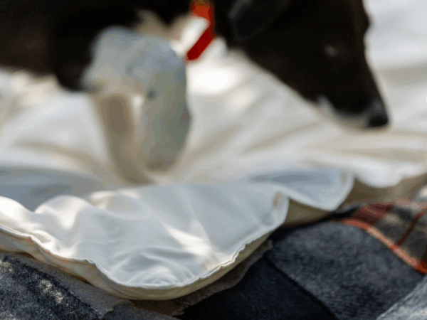 Lap Comforter - Image 3