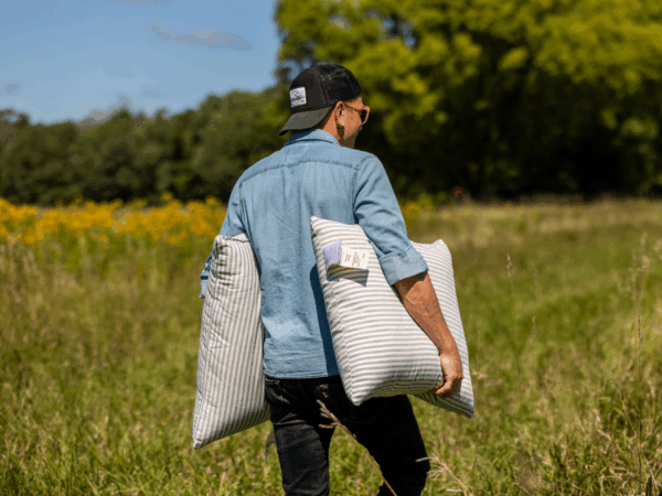 Wool Pillow